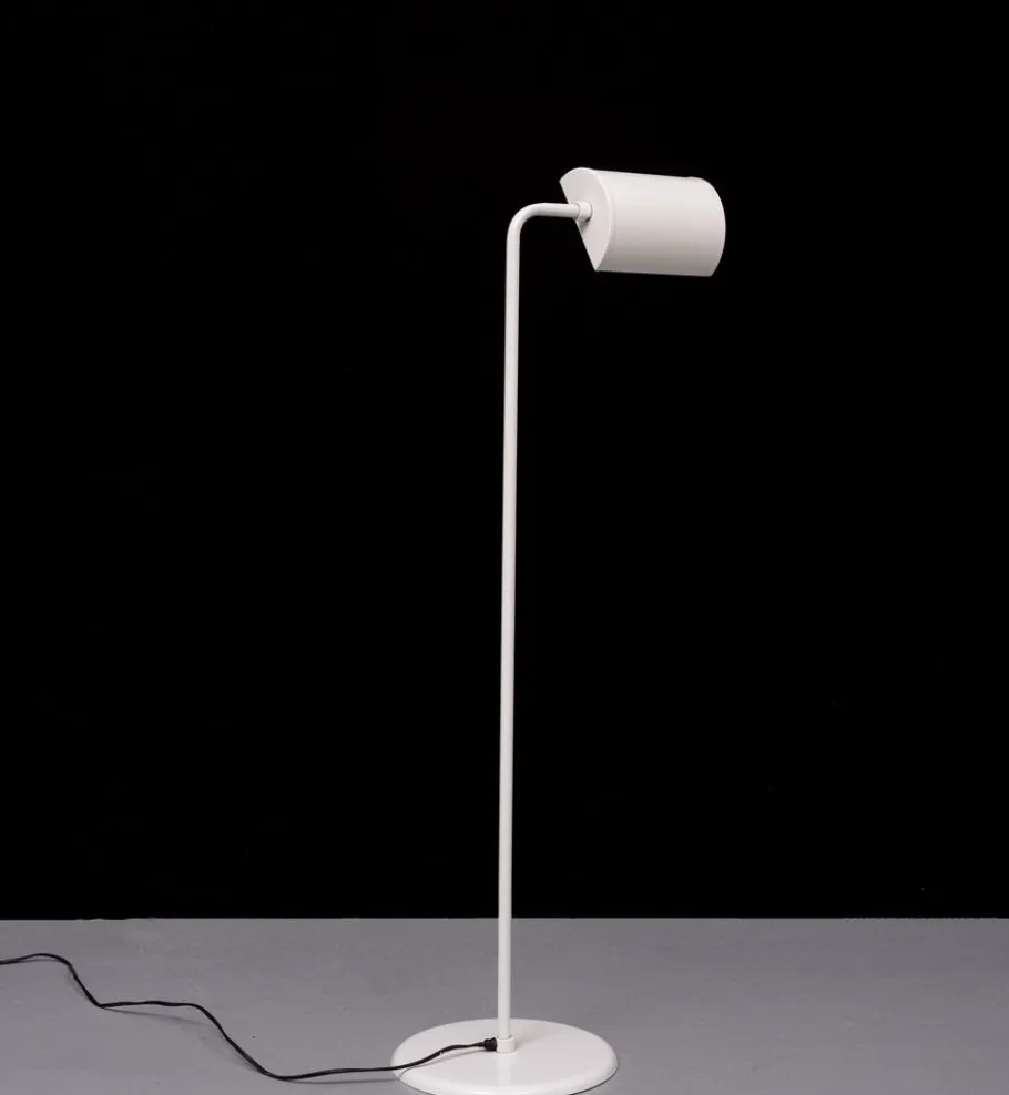 Pamono Abo Randers Floor Lamp, 1975