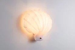 New Pamono Acrylic Glass Shell Wall Lamp with Brass Detail