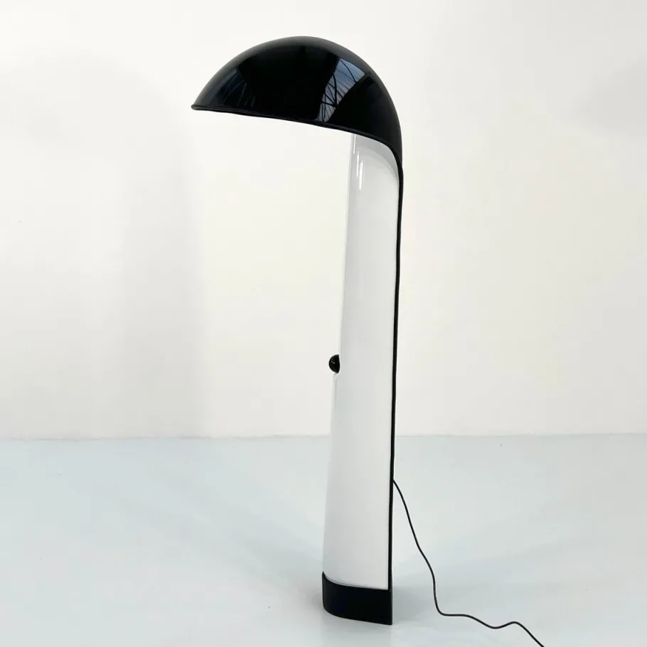New Pamono Alba Floor Lamp by Ermanno Lampa & Sergio Brazzoli for Harvey Guzzini, 1970s