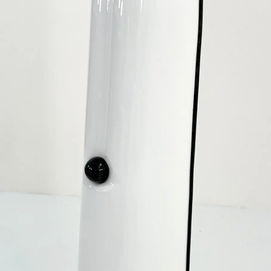 New Pamono Alba Floor Lamp by Ermanno Lampa & Sergio Brazzoli for Harvey Guzzini, 1970s