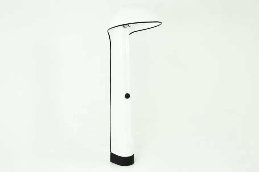 Pamono Alba Floor Lamp by Sergio Brazzoli & Ermanno Lampa for Harvey Guzzini, 1960s