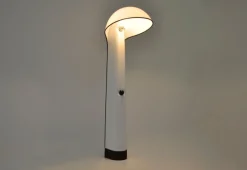 Pamono Alba Floor Lamp by Sergio Brazzoli & Ermanno Lampa for Harvey Guzzini, 1960s