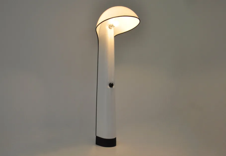 Pamono Alba Floor Lamp by Sergio Brazzoli & Ermanno Lampa for Harvey Guzzini, 1960s