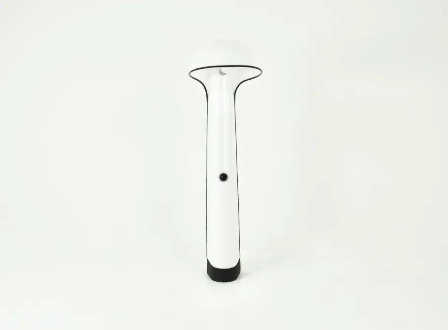 Pamono Alba Floor Lamp by Sergio Brazzoli & Ermanno Lampa for Harvey Guzzini, 1960s