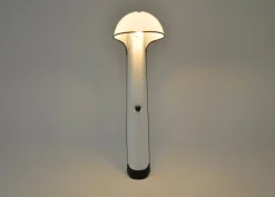 Pamono Alba Floor Lamp by Sergio Brazzoli & Ermanno Lampa for Harvey Guzzini, 1960s