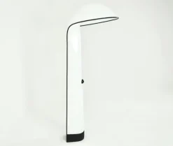 Pamono Alba Floor Lamp by Sergio Brazzoli & Ermanno Lampa for Harvey Guzzini, 1960s