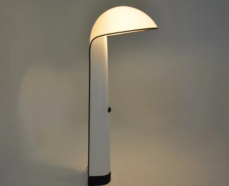 Pamono Alba Floor Lamp by Sergio Brazzoli & Ermanno Lampa for Harvey Guzzini, 1960s