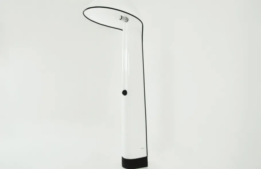 Pamono Alba Floor Lamp by Sergio Brazzoli & Ermanno Lampa for Harvey Guzzini, 1960s
