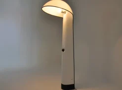 Pamono Alba Floor Lamp by Sergio Brazzoli & Ermanno Lampa for Harvey Guzzini, 1960s