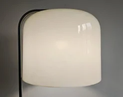 Discount Pamono Alvise Series MCM Floor Lamp by Luigi Massoni for Guzzini, 1968