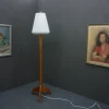 Best Pamono Anthroposophical Floor Lamp by Felix Kayser, 1950s