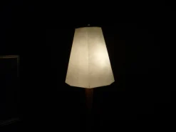 Best Pamono Anthroposophical Floor Lamp by Felix Kayser, 1950s