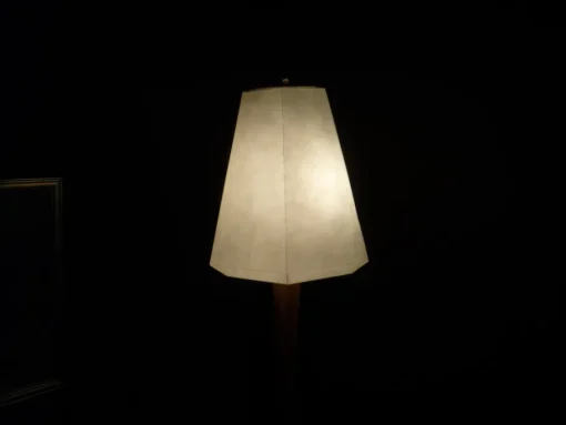 Best Pamono Anthroposophical Floor Lamp by Felix Kayser, 1950s