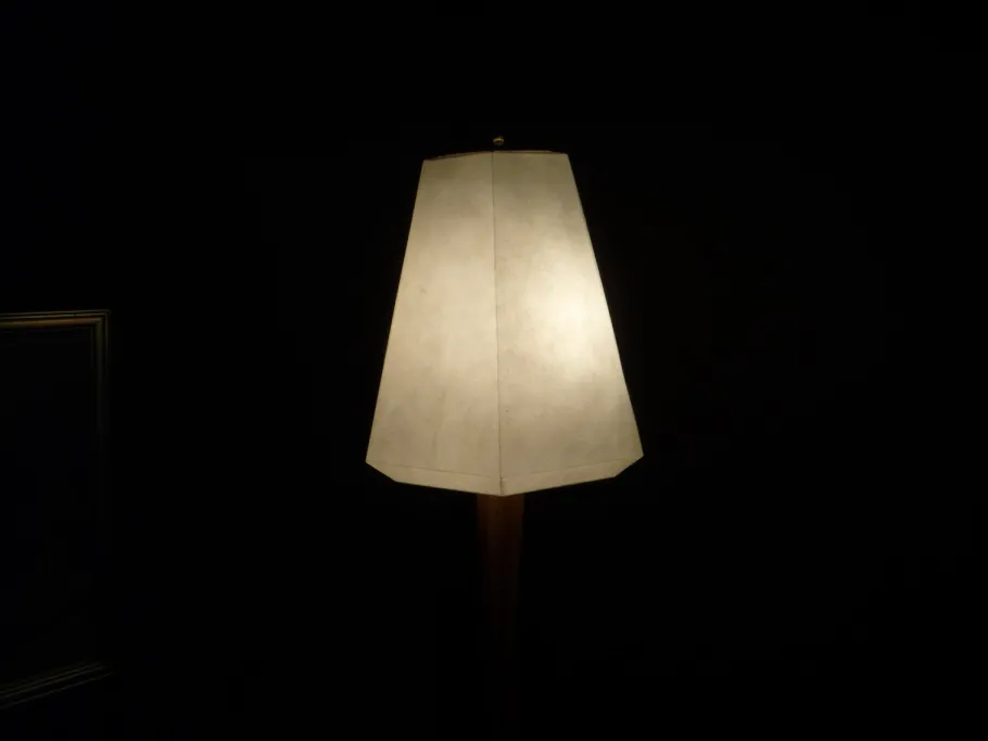 Best Pamono Anthroposophical Floor Lamp by Felix Kayser, 1950s