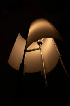 Hot Pamono Arianna Floor Lamp by Bruno Gecchelin for Oluce