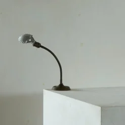 Hot Pamono Art Deco Adjustable Shell Shade Table Lamp, Belgium, 1930s