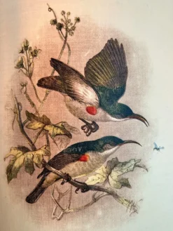 Hot Pamono Art Deco Brass Floor Lamp with Geometric Accents, 1950s