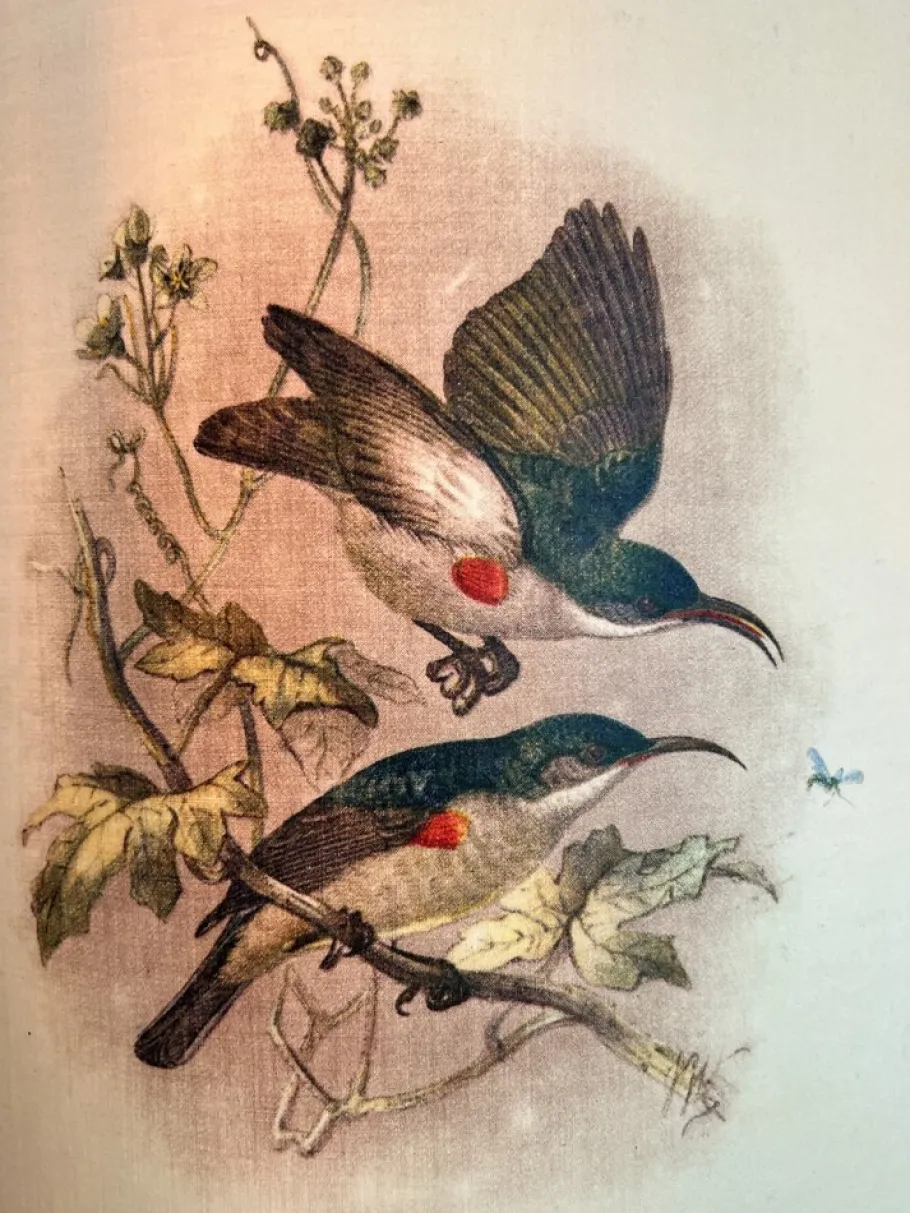 Hot Pamono Art Deco Brass Floor Lamp with Geometric Accents, 1950s