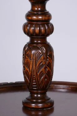 Pamono Art Deco Floor Lamp in Oak & Textile, Czech, 1920s