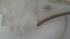 Hot Pamono Art Deco Sconces by Rene Lalique, 1920s, Set of 2