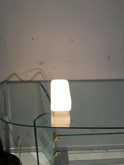 Hot Pamono Bauhaus Bathroom Wall Light by Wilhelm Wagenfeld for Linder