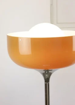Pamono Big Brown Floor Lamp by Luigi Massoni for Guzzini, 1970s