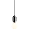 Hot Pamono Black Aballs T Pe Pendant Lamp by Parachilna