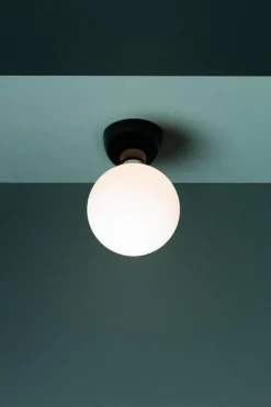 Hot Pamono Black Aballs T Pe Pendant Lamp by Parachilna