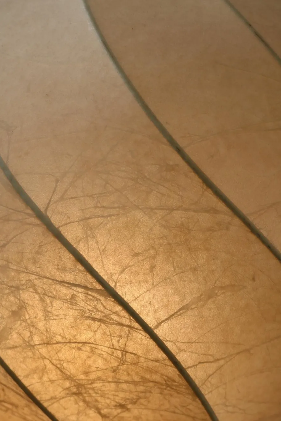 New Pamono Cocoon Floor Lamp by Panton, 1960s