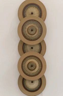 Clearance Pamono Danish Ceramic Five Disc Wall Lamp from Søholm, 1970s