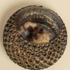 Hot Pamono Danish Ceramic Wall Light in the style of Axella, 1970