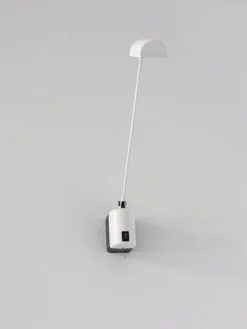 Discount Pamono Daphine Parete Lamp by Tommaso Cimini for Lumina, 1975