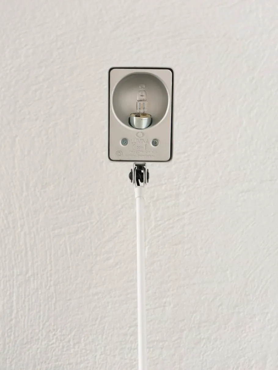 Discount Pamono Daphine Parete Lamp by Tommaso Cimini for Lumina, 1975