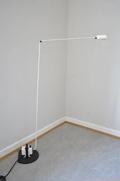 Discount Pamono Daphine Terra Floor Lamp by Tommaso Cemini for Lumina