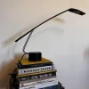 Hot Pamono Dove Desk Lamp by Mario Barbaglia and Marco Colombo, 1980s