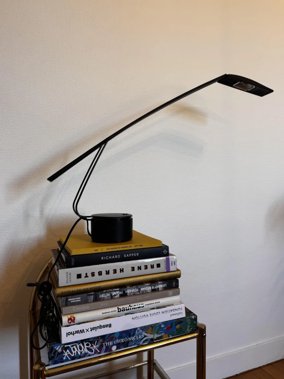 Hot Pamono Dove Desk Lamp by Mario Barbaglia and Marco Colombo, 1980s
