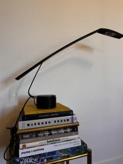 Hot Pamono Dove Desk Lamp by Mario Barbaglia and Marco Colombo, 1980s
