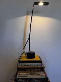 Hot Pamono Dove Desk Lamp by Mario Barbaglia and Marco Colombo, 1980s