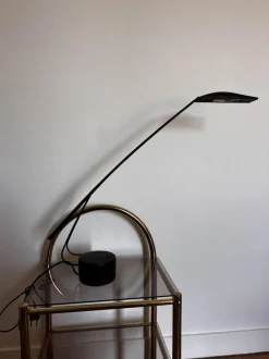 Hot Pamono Dove Desk Lamp by Mario Barbaglia and Marco Colombo, 1980s