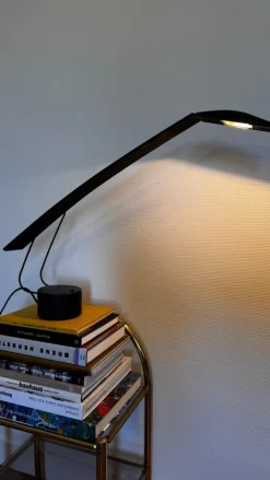 Hot Pamono Dove Desk Lamp by Mario Barbaglia and Marco Colombo, 1980s