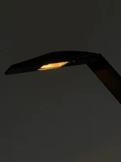 Discount Pamono Dove Desk Lamp in Black by Marco Colombo & Mario Barbaglia for PAF Studio