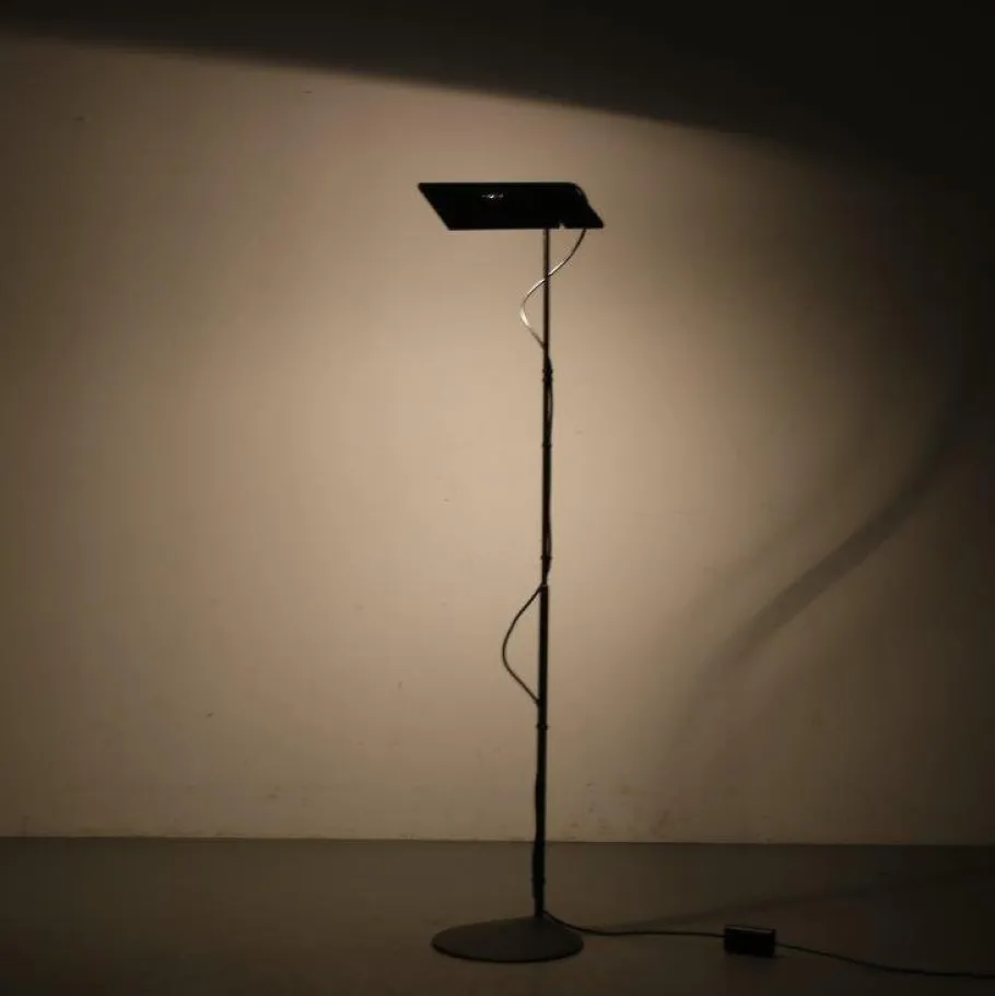 Hot Pamono Duna Floor Lamp by Marco Colombo & Mario Barbabag for Paf Studio, Italy, 1970s