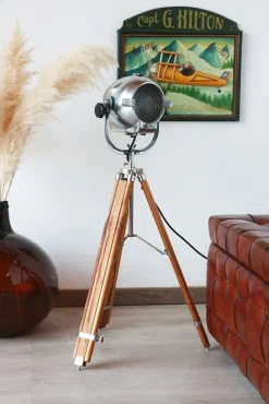 Hot Pamono Egg Shape Theater Spotlight by Morgan McLleod, 1950s