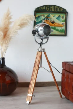 Hot Pamono Egg Shape Theater Spotlight by Morgan McLleod, 1950s