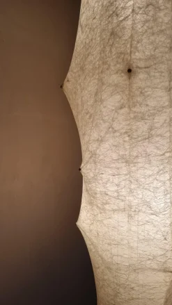 Clearance Pamono Fantasma Grande Floor Lamp by Tobia Scarpa for Flos, 1960