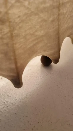 Clearance Pamono Fantasma Grande Floor Lamp by Tobia Scarpa for Flos, 1960