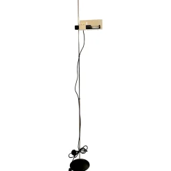 Hot Pamono Floor Lamp by Barbieri & Marianelli for Tronconi, 1970s