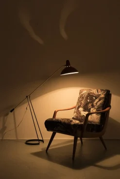 Hot Pamono Floor Lamp by Floris Fiedeldij for Tivoli