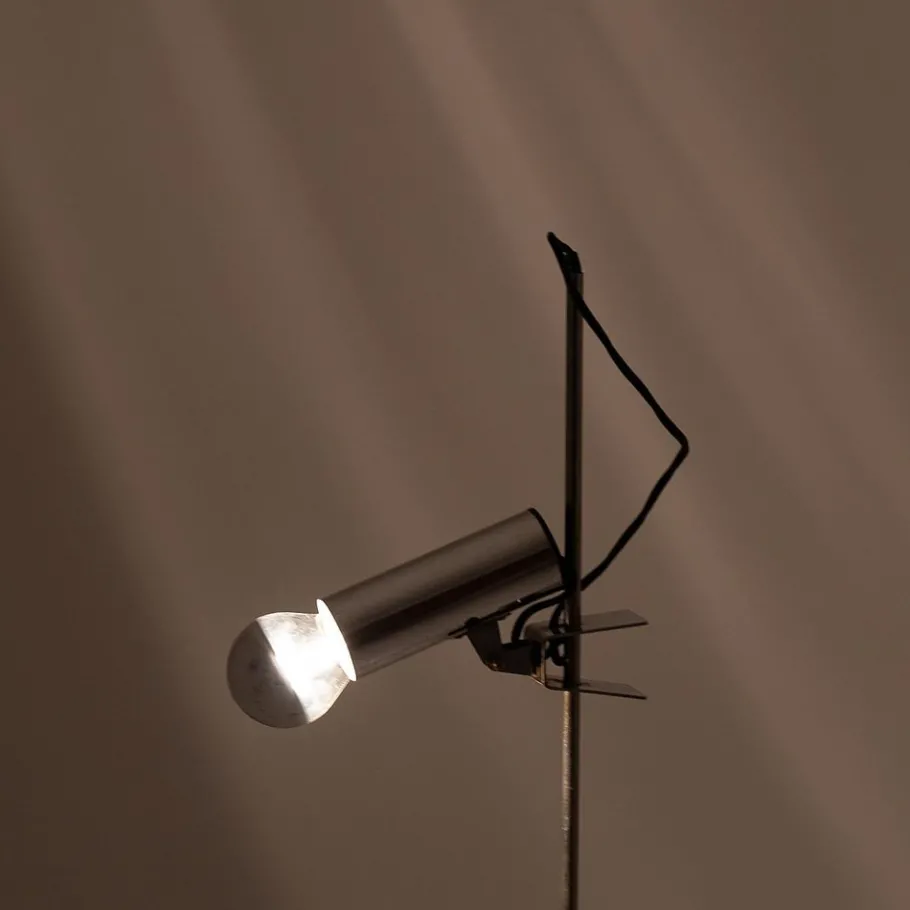 Sale Pamono Floor Lamp from Targetti 1970s