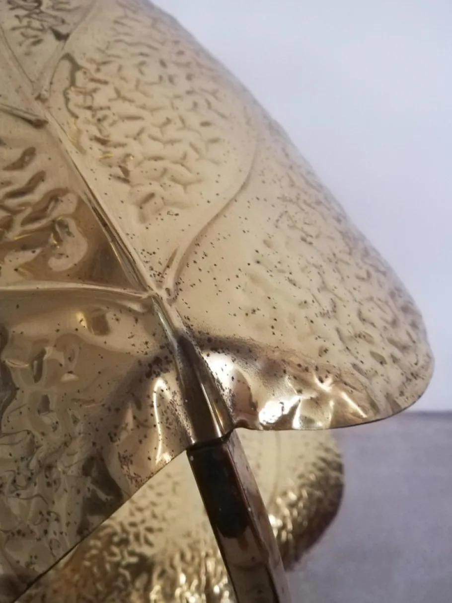 New Pamono Floor Lamp with Large Brass Leaves by Carlo Giorgi for Bottega Gadda, 1970s